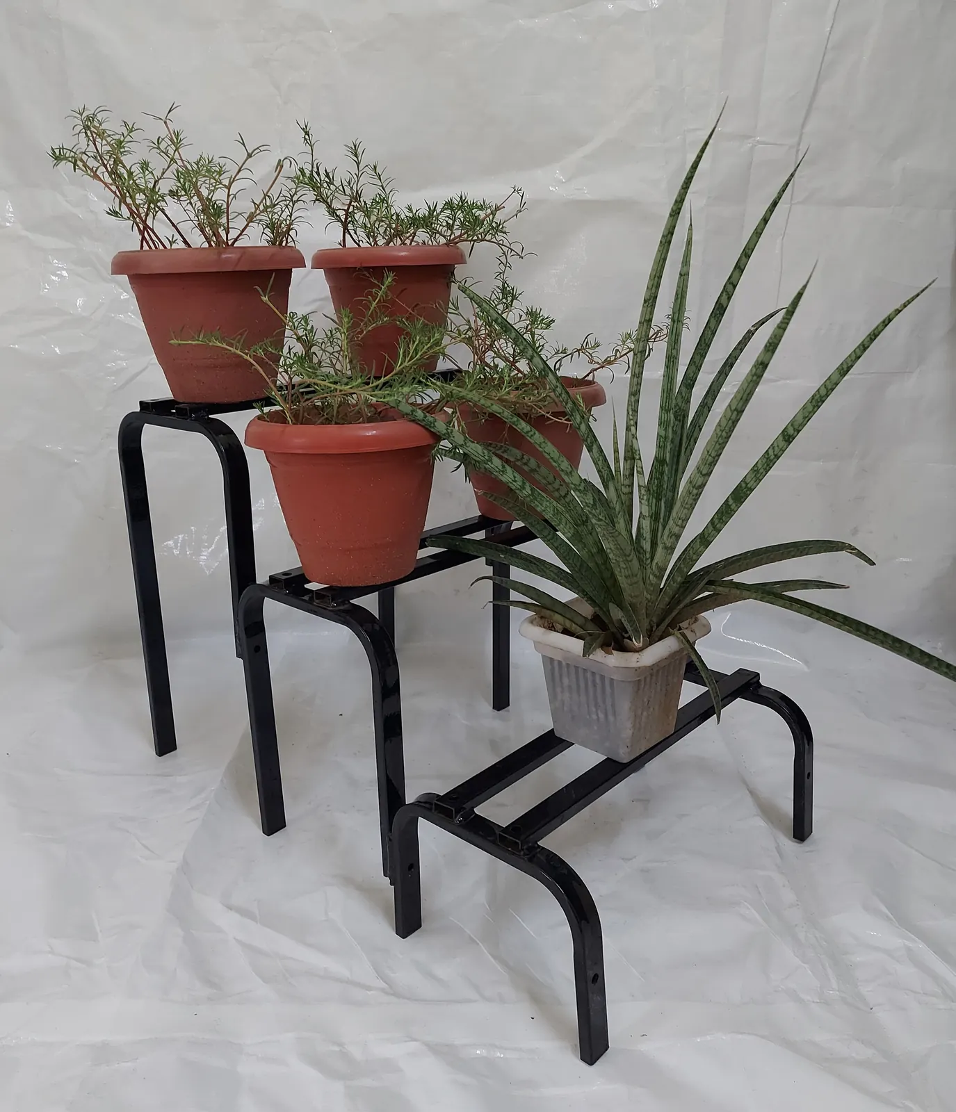 Three-tier black metal plant stand holding potted plants